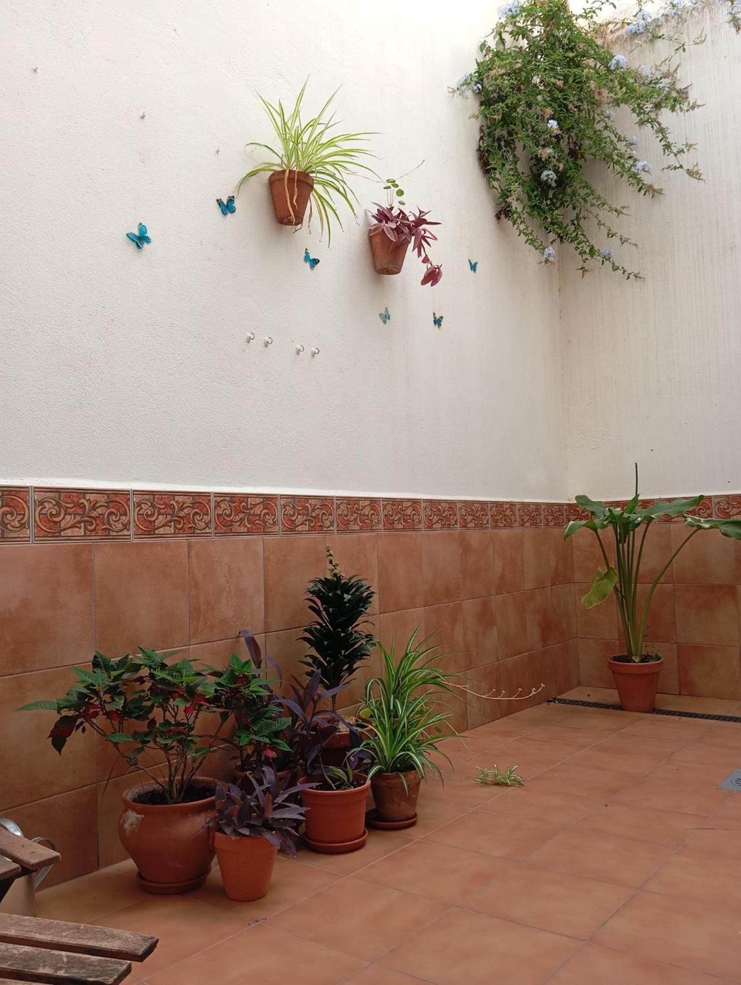 Apartamento Amapola Málaga Esterno foto